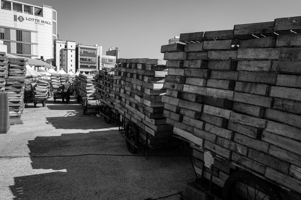 L1017694.jpg