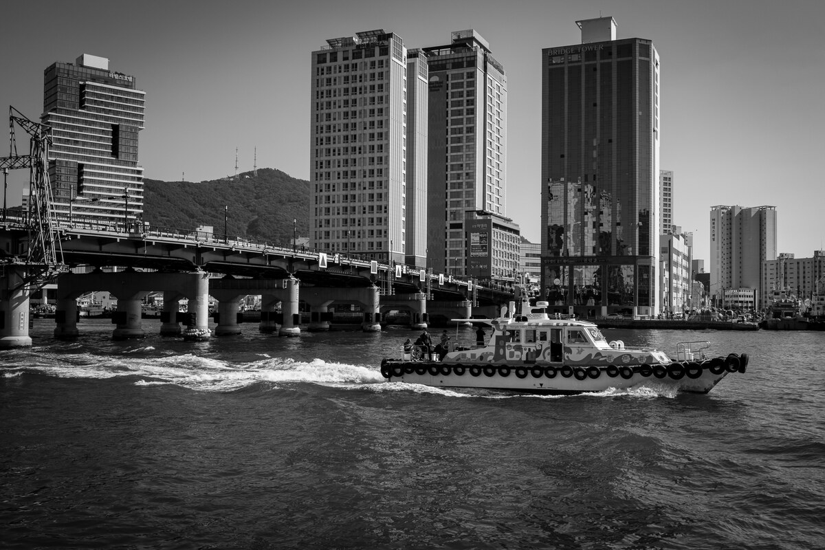 L1017706.jpg