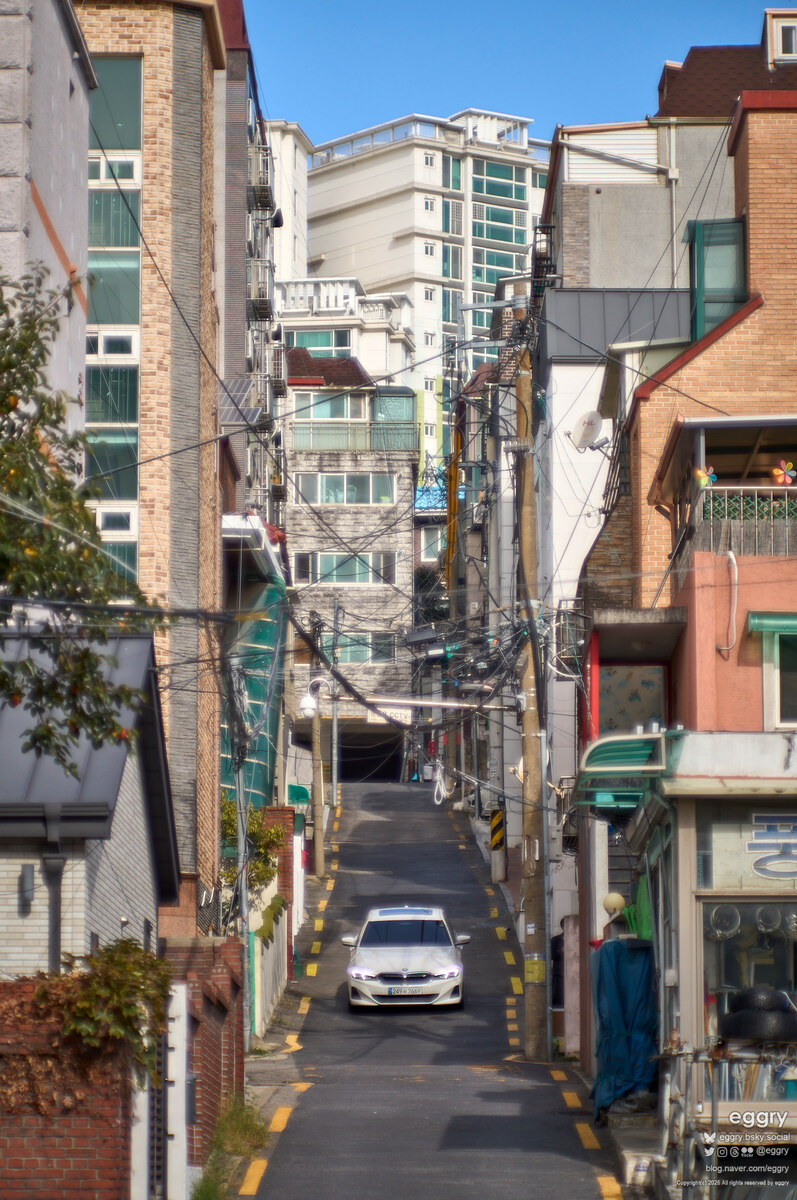 20261003-10-05-44-LEICA M11-MS-Optics Aporis 135mm 2.4 Fluorit MC-L1001623.jpg