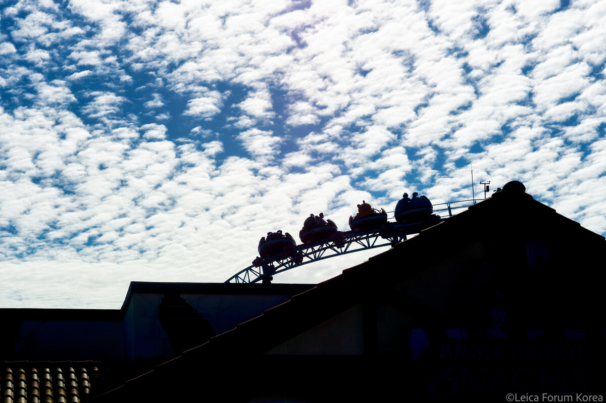 leica-M9p-summicron50rigid-1-27.jpg