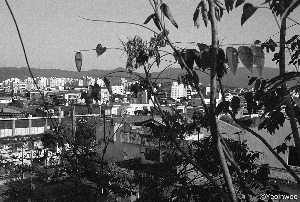 Untitled (23)__1200.jpg