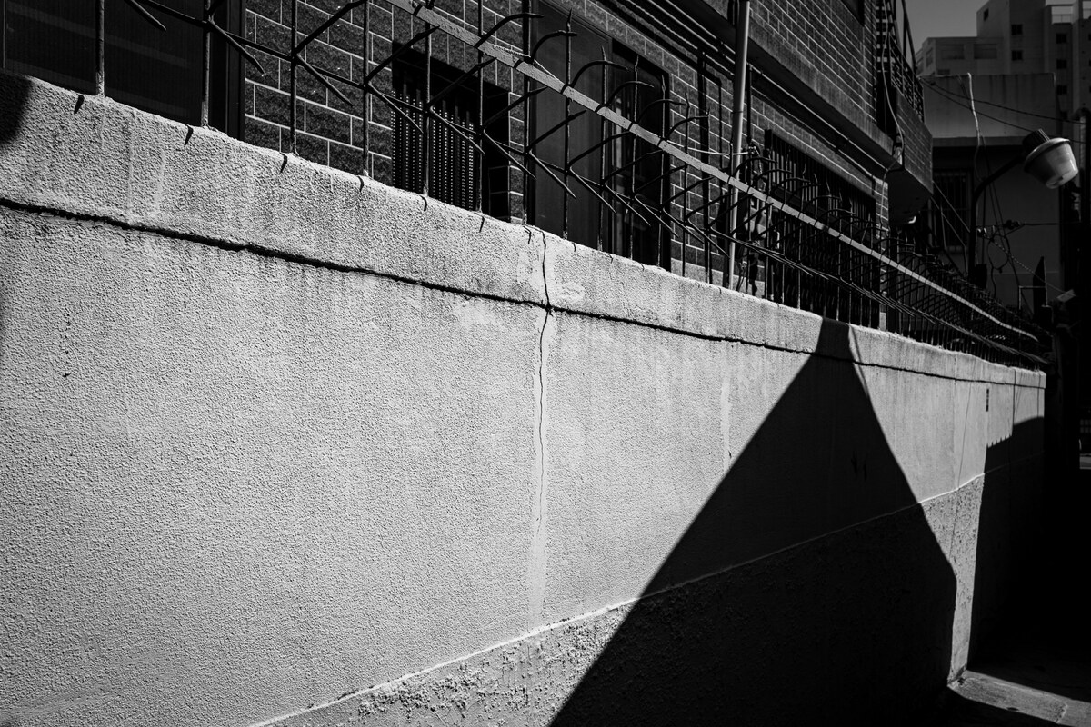 L1017710.jpg