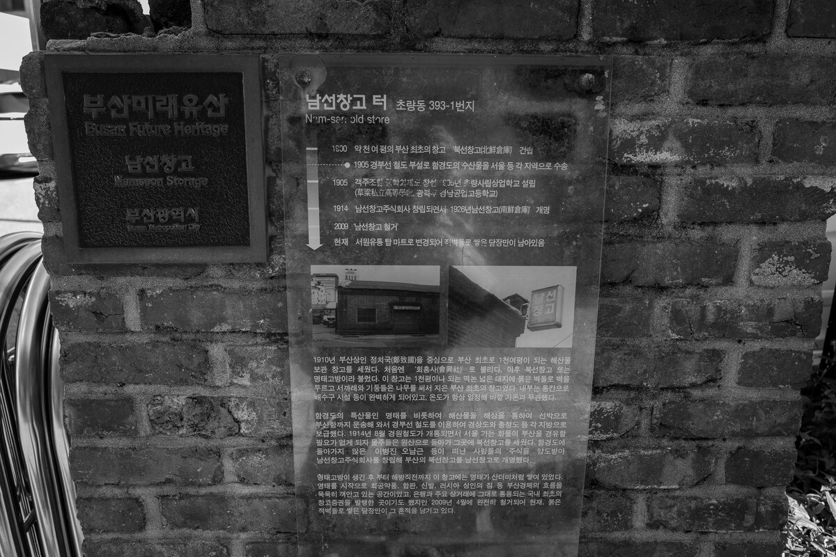 L1017722.jpg