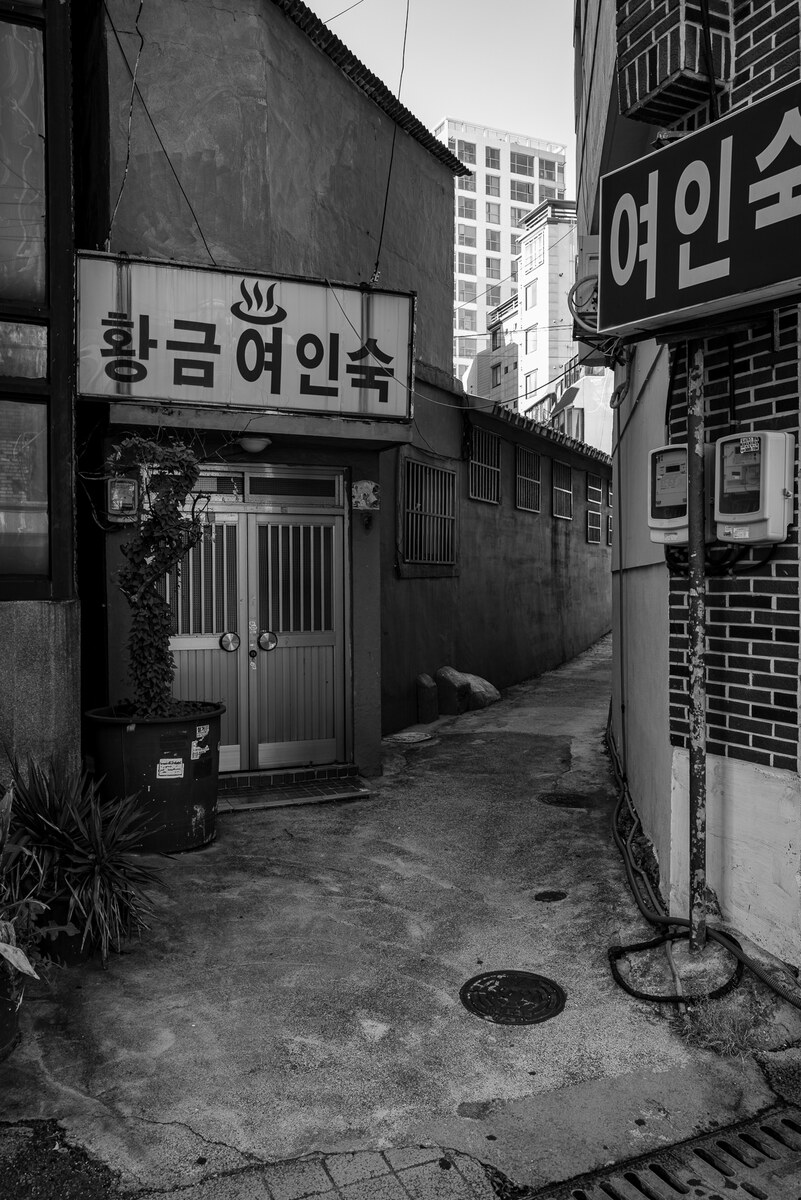 L1017724.jpg