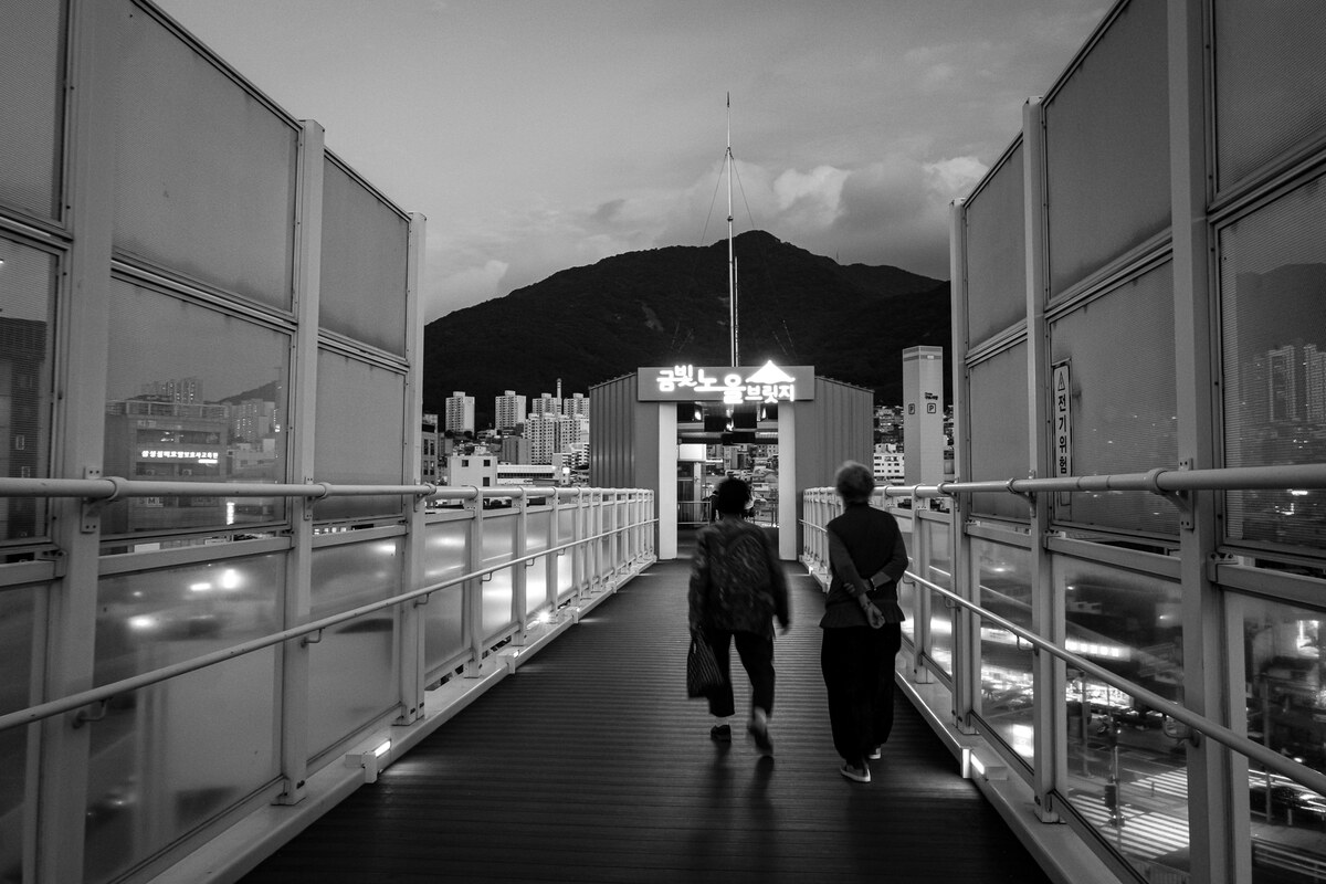 L1017620.jpg