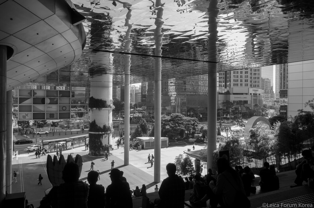 leica-mmono-rokkor28-1-21.jpg