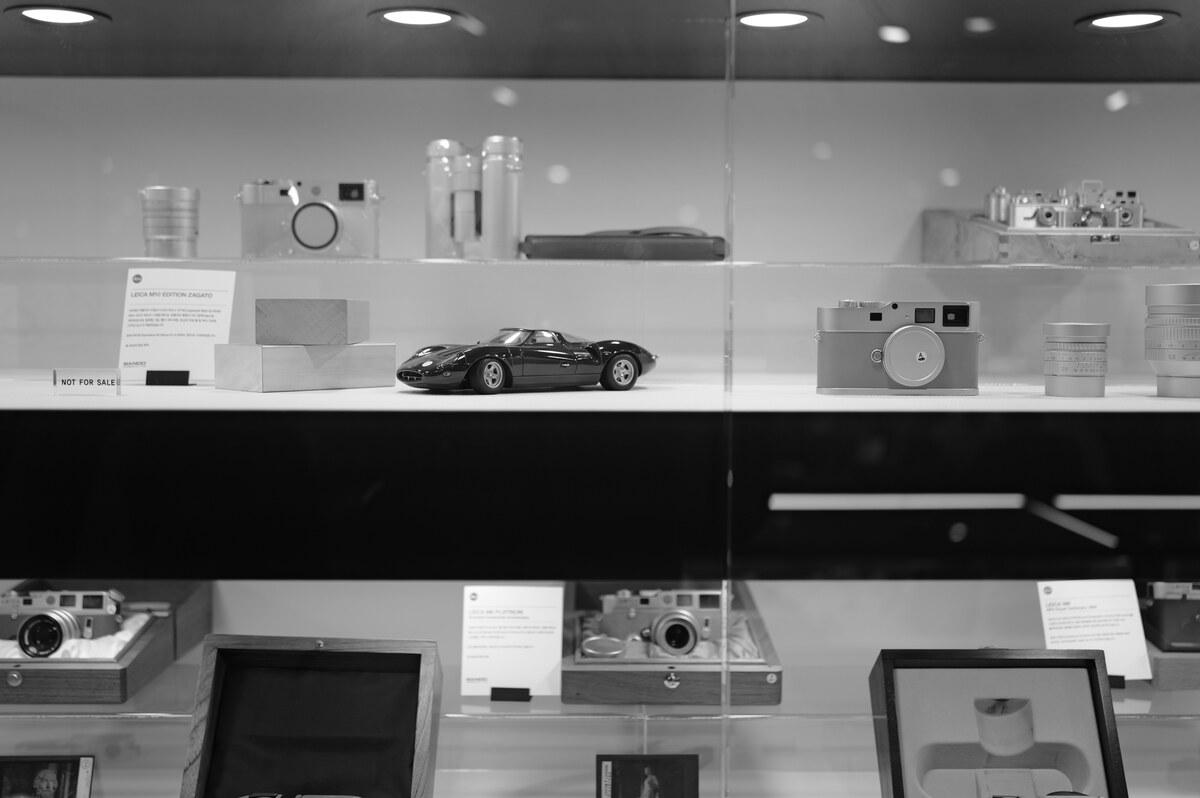 L1008113.jpg
